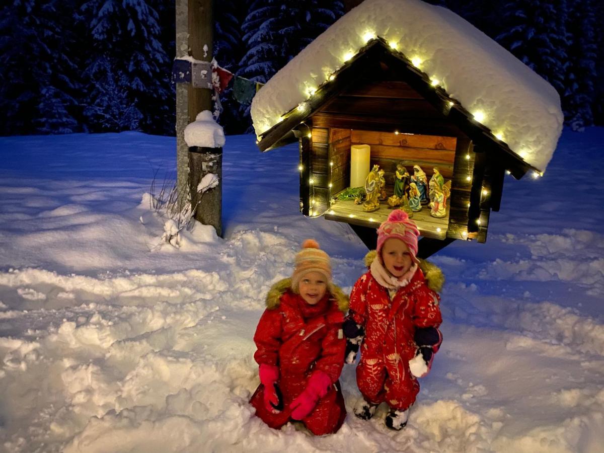 Nockalm Cottage Bad Kleinkirchheim Exterior foto