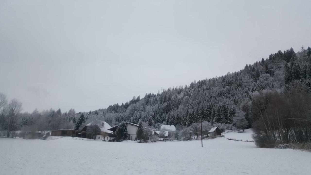 Nockalm Cottage Bad Kleinkirchheim Exterior foto